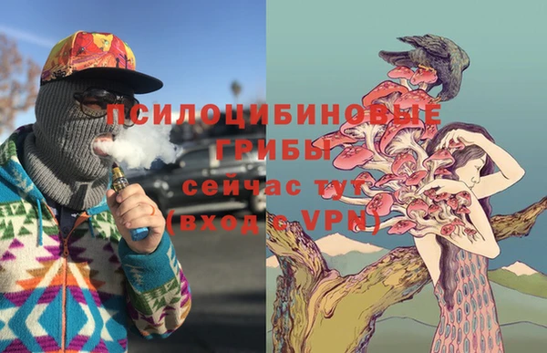 стафф Балахна