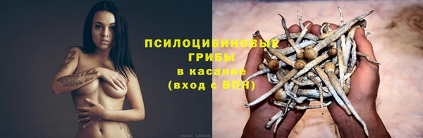 стафф Балахна